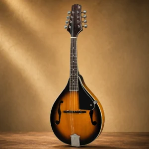 mandolin-a-style-f-cut-1