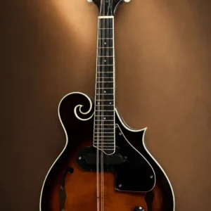 mandolin-f-style-f-cut-electric-1