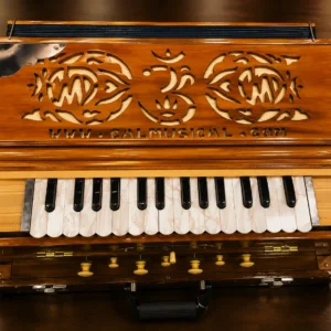 mini-scale-changing-harmonium-1