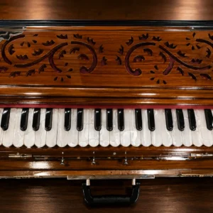 portable-ordinary-harmonium-1
