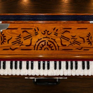 regular-standard-harmonium-1