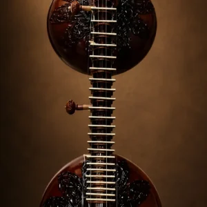 rudra-veena-1