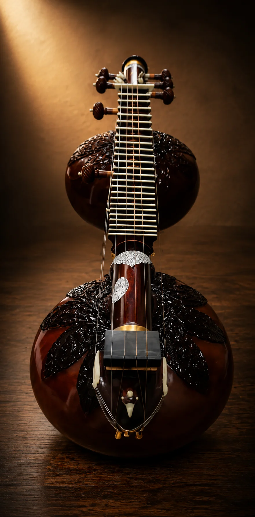 rudra-veena-2