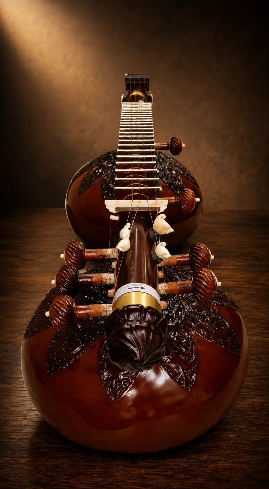 rudra-veena-3