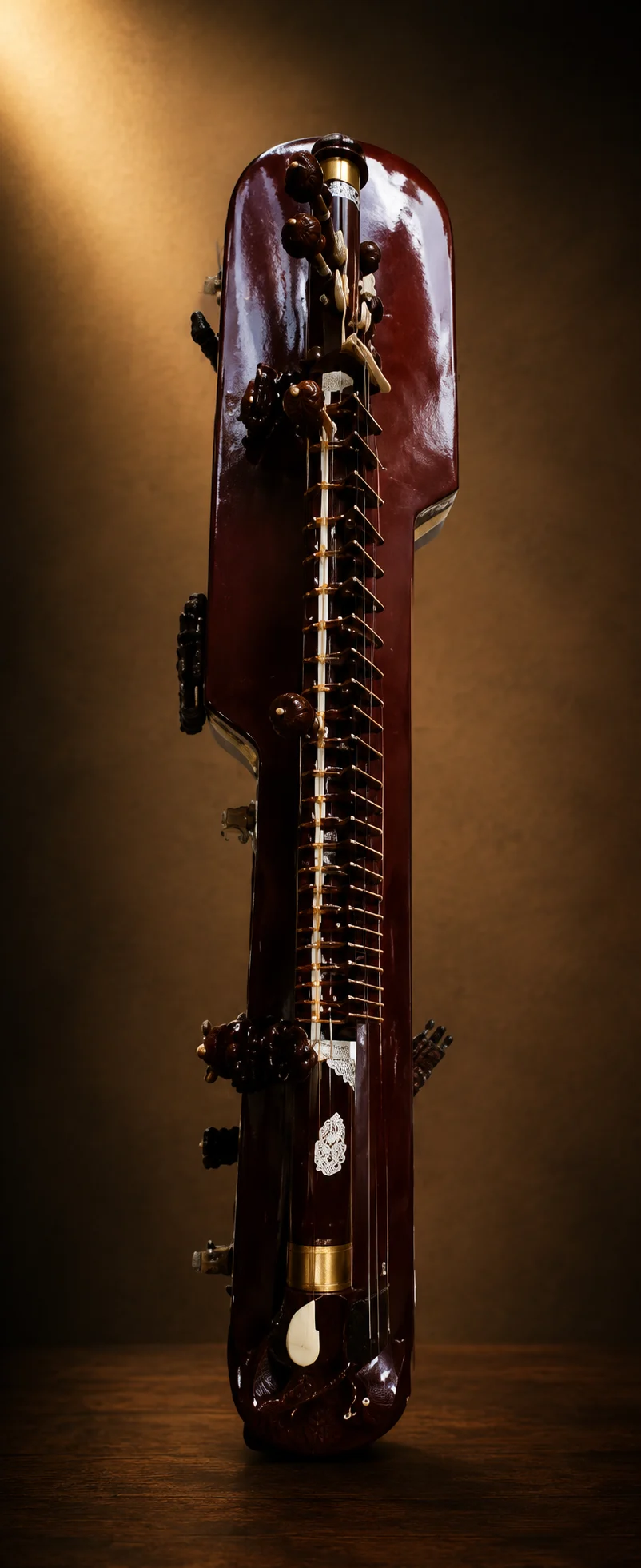 rudra-veena-5