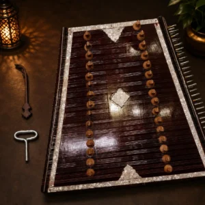 santoor-1