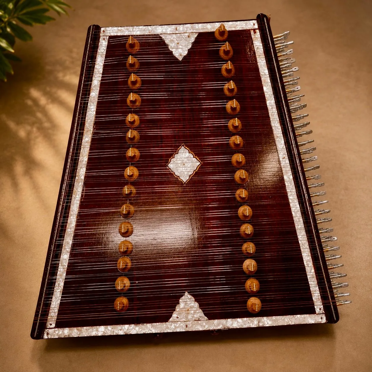 santoor-2