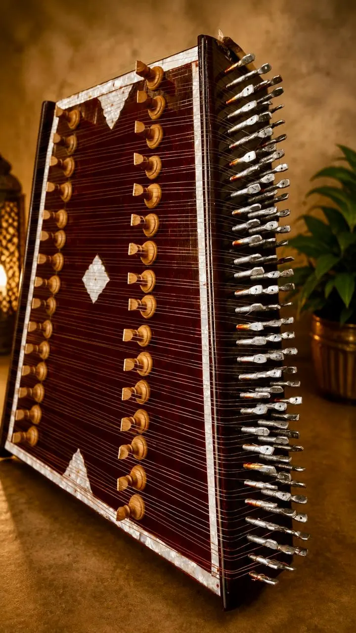 santoor-4