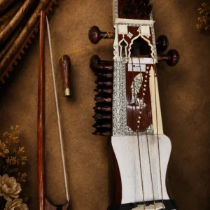 sarangi-1
