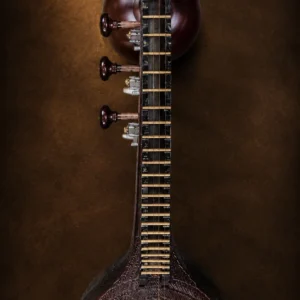 saraswati-veena-1