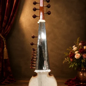 sarod-1