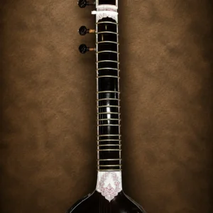 sitar-ravi-shankar-style-1