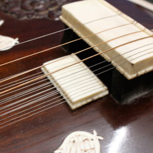 Sitar Strings Set