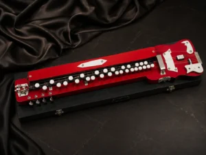 special-bulbul-tarang-banjo-1