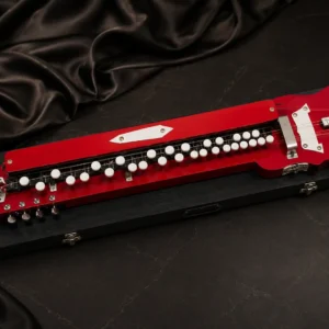 special-bulbul-tarang-banjo-1