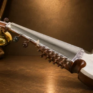 special-sarod-1