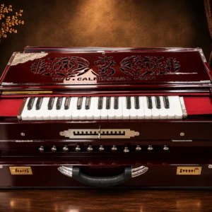 special-scale-changing-harmonium-1