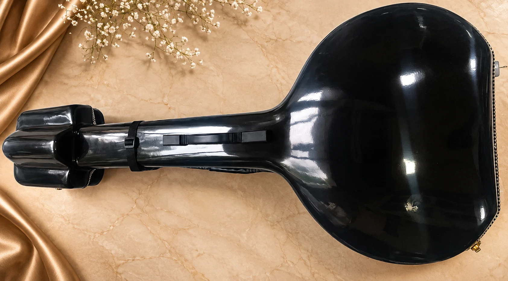 tanpura-case-1
