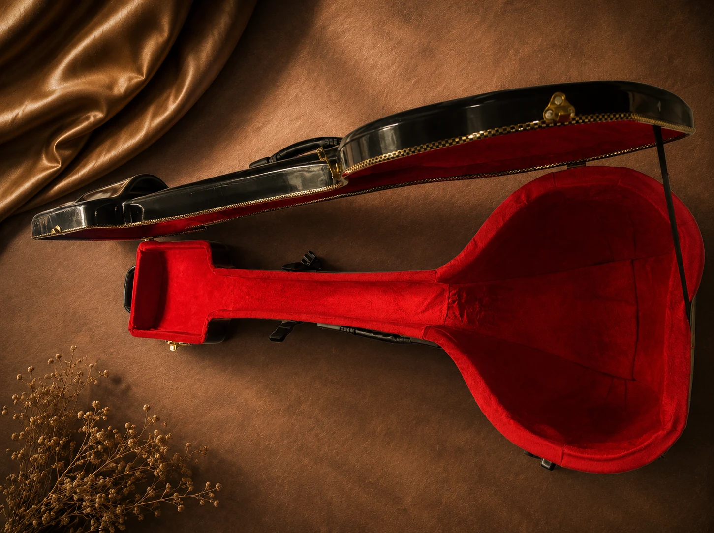 tanpura-case-3