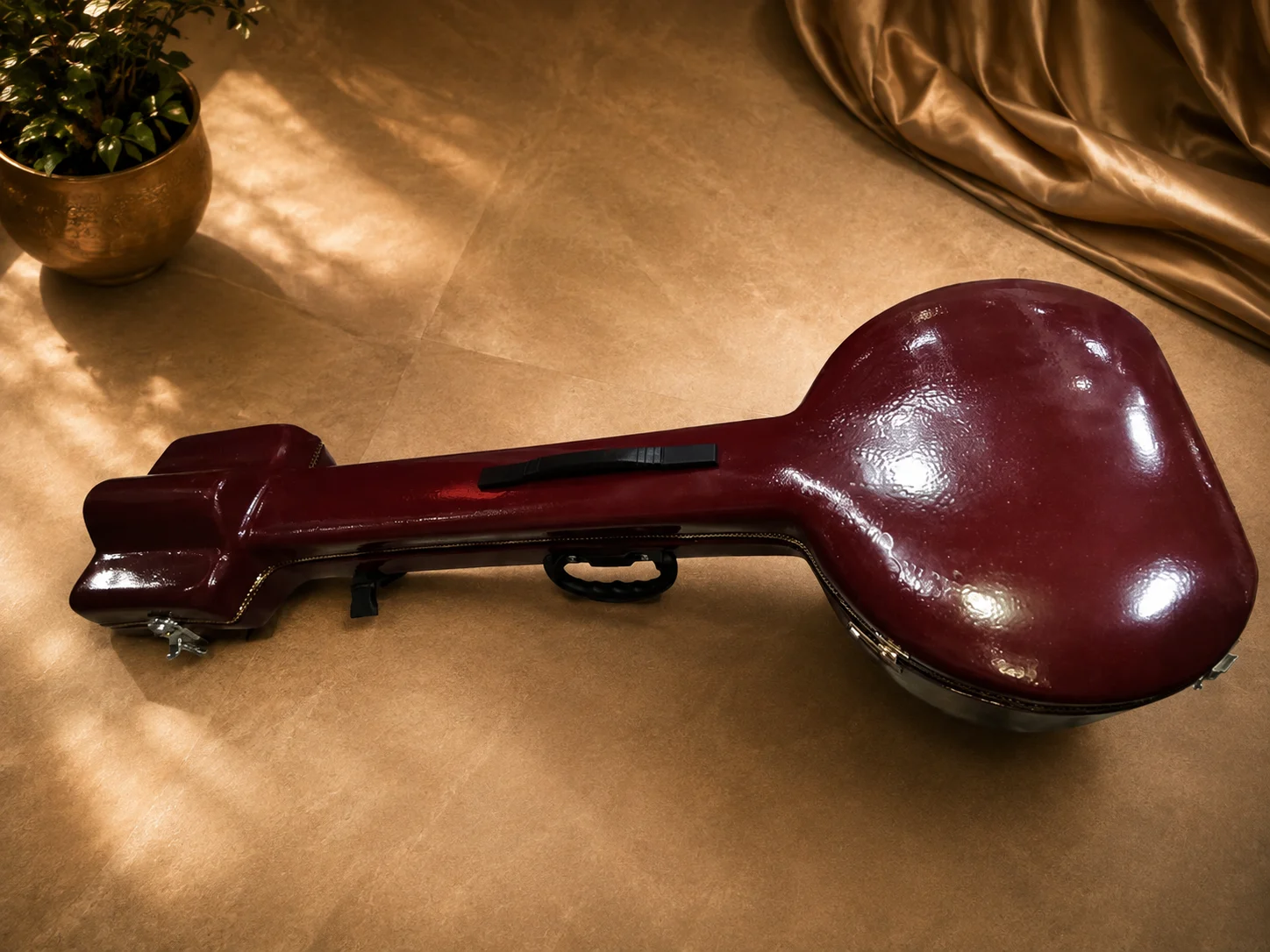 tanpura-case-5