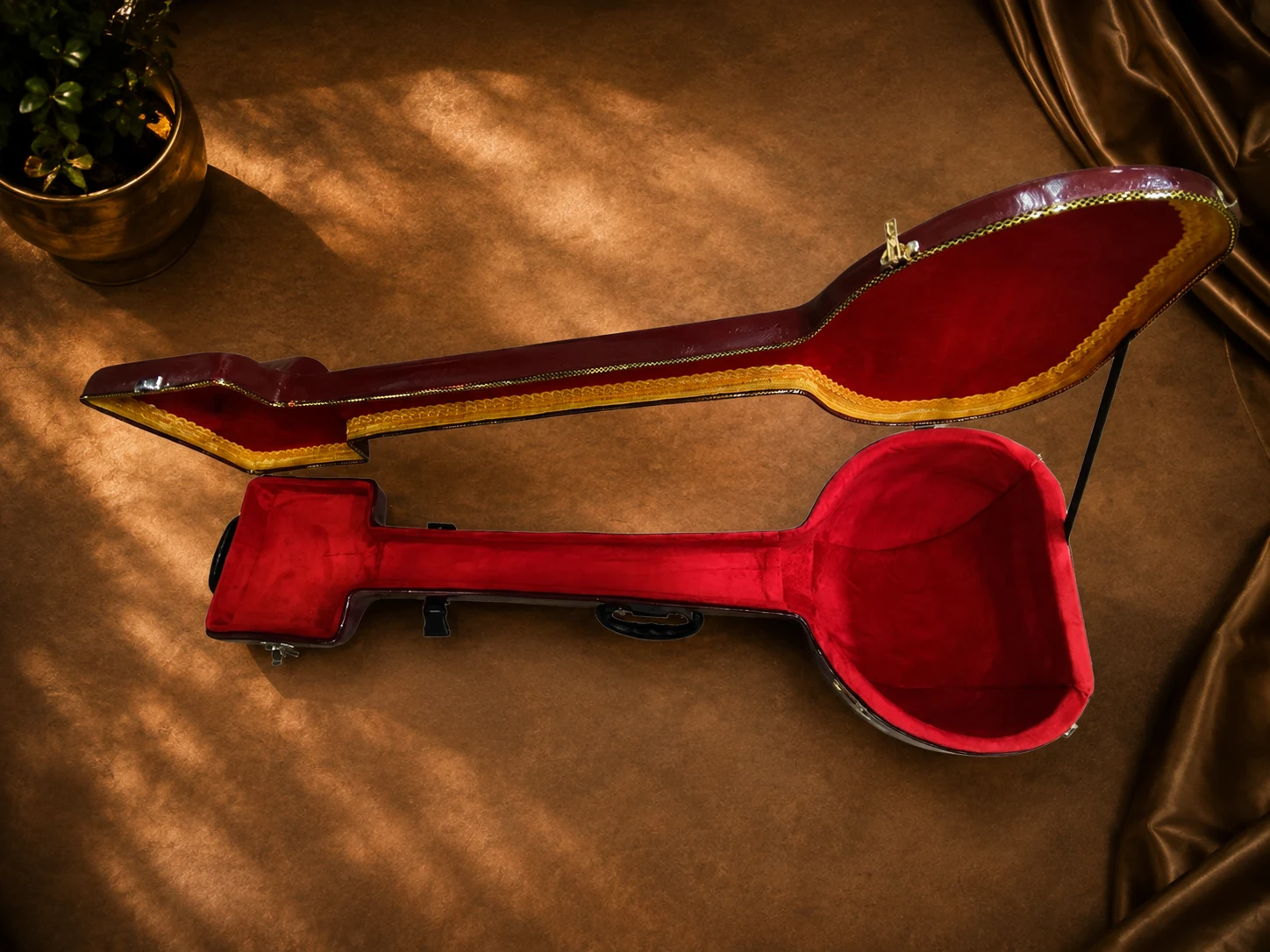 tanpura-case-6