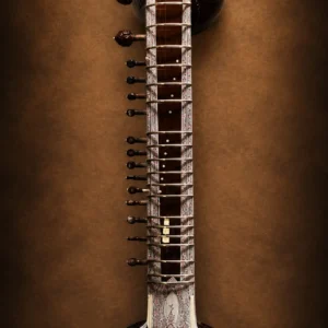 tarafdar-sitar-ravi-shankar-style-1