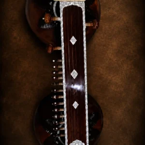 vichitra-veena-1