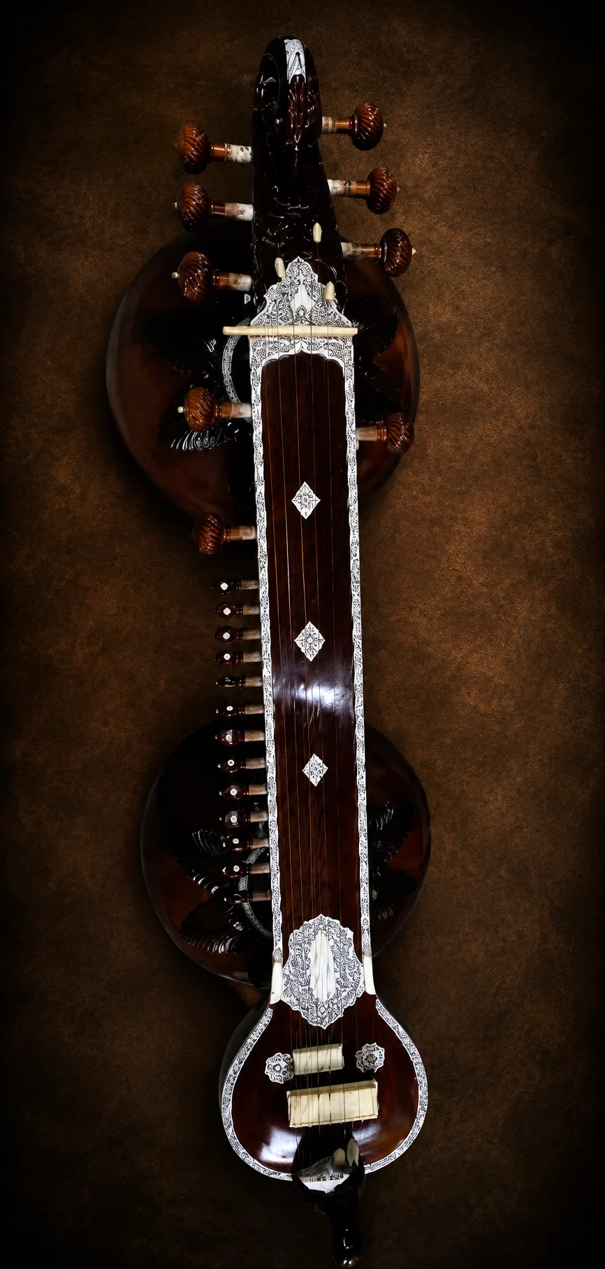 vichitra-veena-1