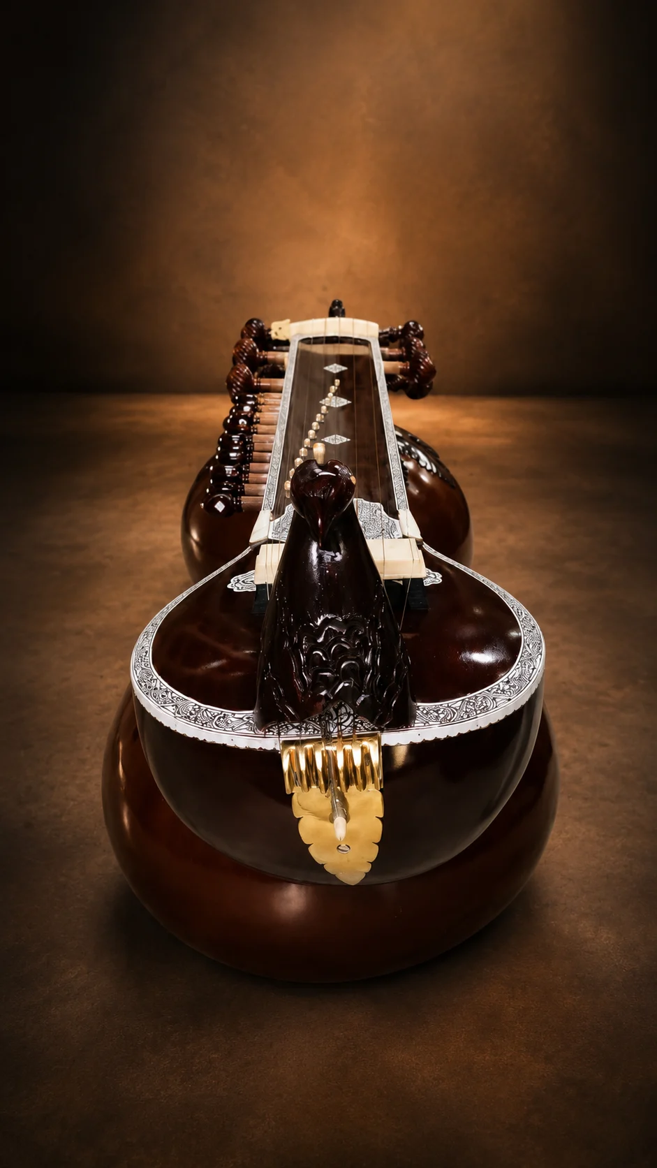 vichitra-veena-2