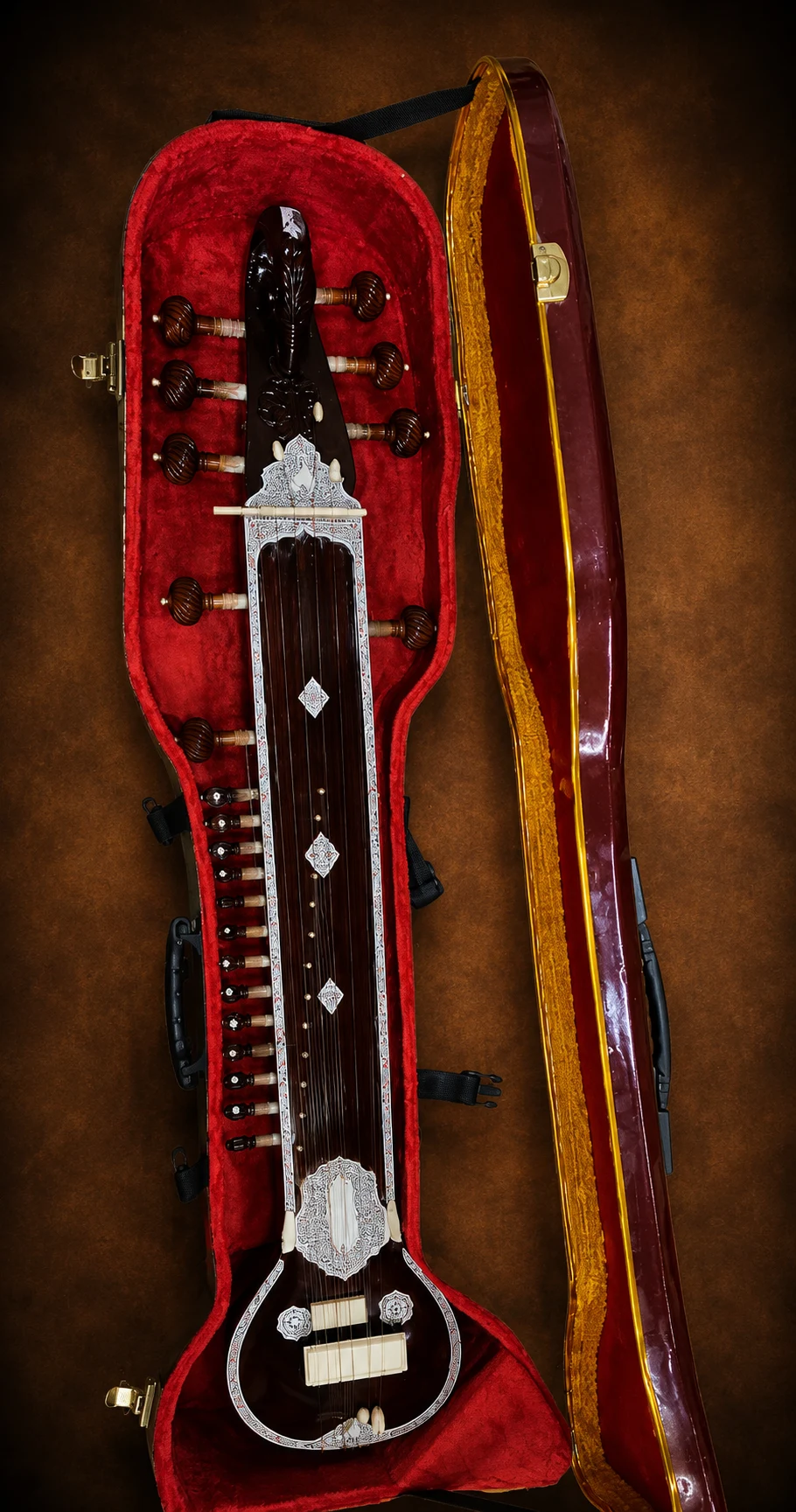 vichitra-veena-4