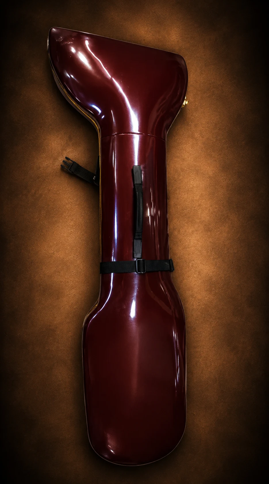 vichitra-veena-5