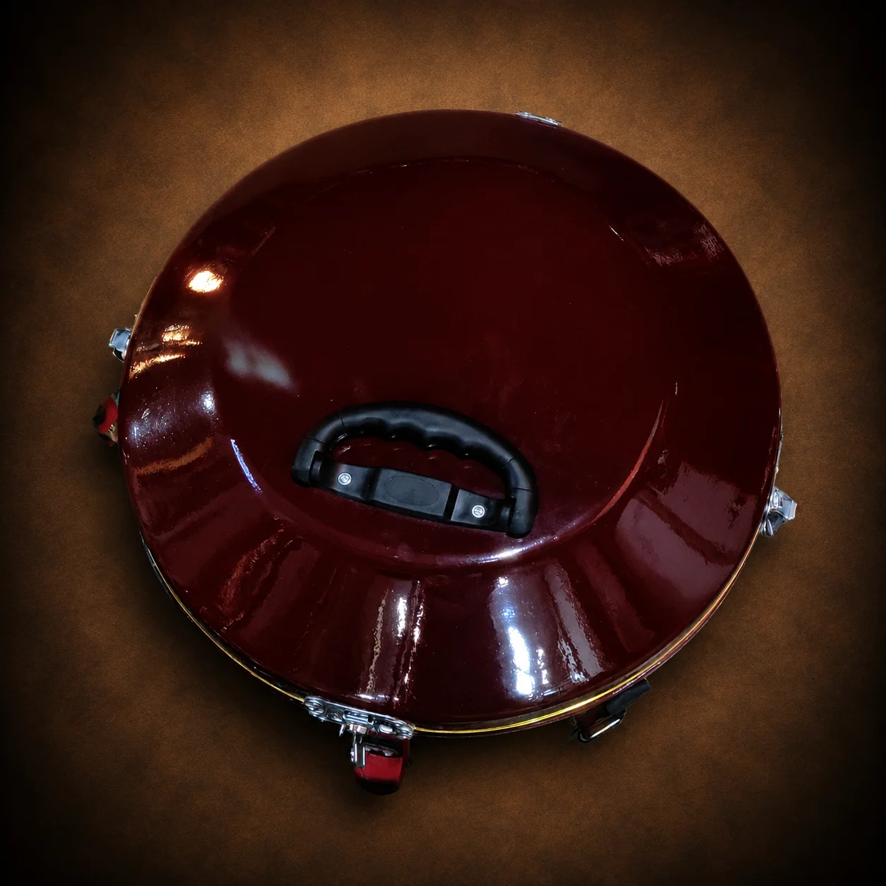 vichitra-veena-6