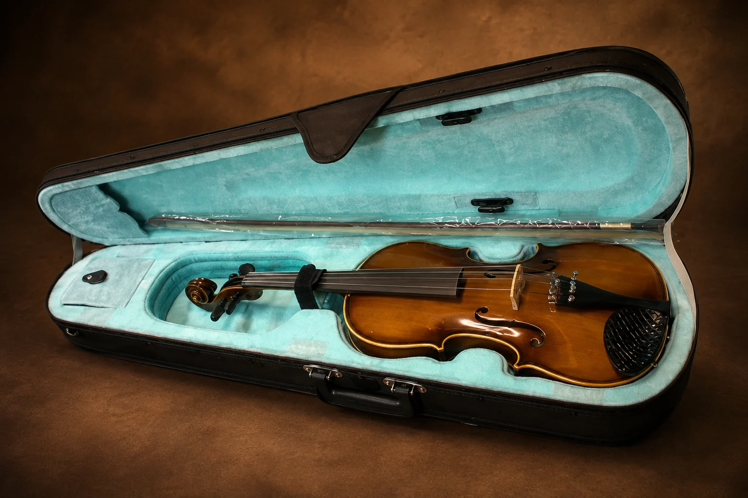 violin-4-strings-4