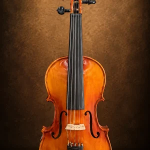 violin-5-strings-1