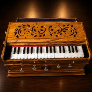 wooden-beginners-harmonium-1