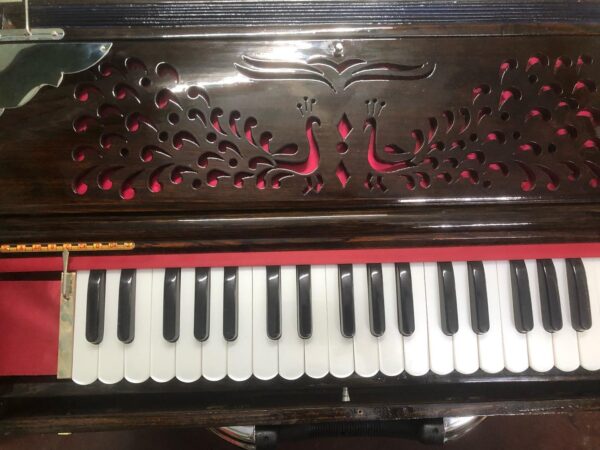 3 Set German Reeds Scale Changing Harmonium