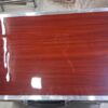 Special Premier Scale Changing Harmonium