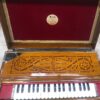ass Male Female Scale Changing Harmonium