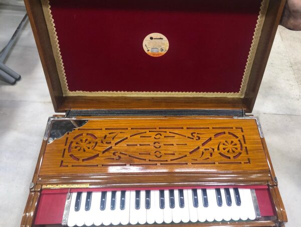 ass Male Female Scale Changing Harmonium
