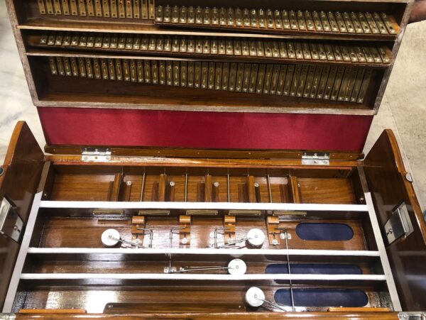 ass Male Female Scale Changing Harmonium