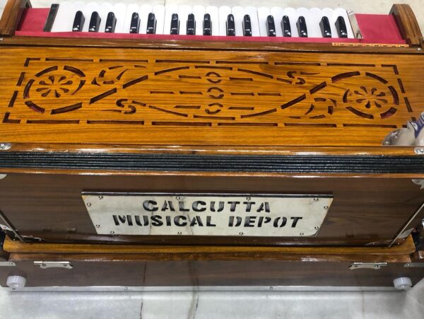 ass Male Female Scale Changing Harmonium