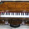 ass Male Female Scale Changing Harmonium