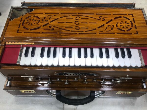 ass Male Female Scale Changing Harmonium