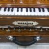 ass Male Female Scale Changing Harmonium
