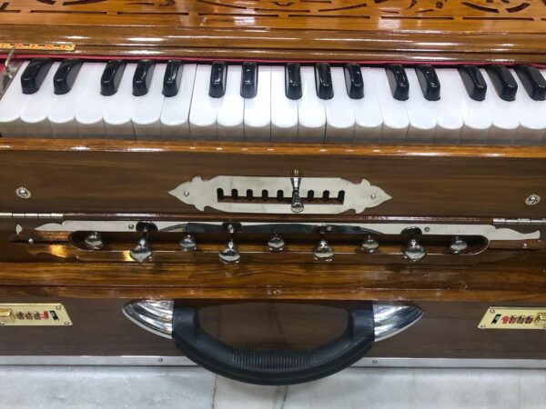 ass Male Female Scale Changing Harmonium