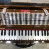 ass Male Female Scale Changing Harmonium