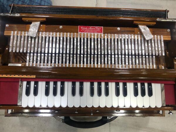 ass Male Female Scale Changing Harmonium