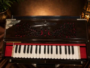 3-set-german-reeds-scale-changing-harmonium-1
