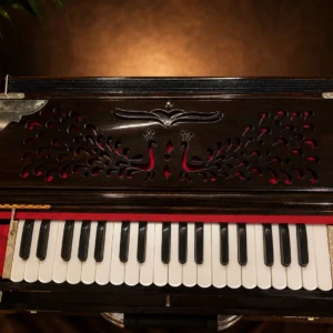3-set-german-reeds-scale-changing-harmonium-1