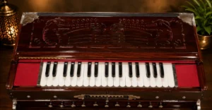 4-set-paris-reeds-scale-changing-harmonium-1